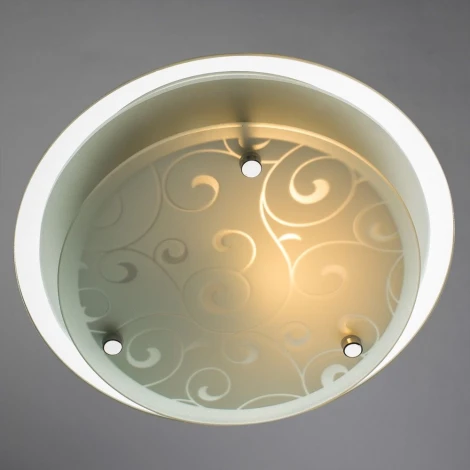 Потолочный светильник Arte Lamp Ariel A4806PL-1CC