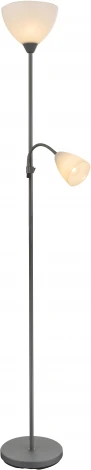 Торшер Globo Galeras 58469LED