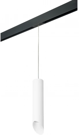 Трековый светильник однофазный 220V Lightstar Rullo PRORP49636 (круглые)