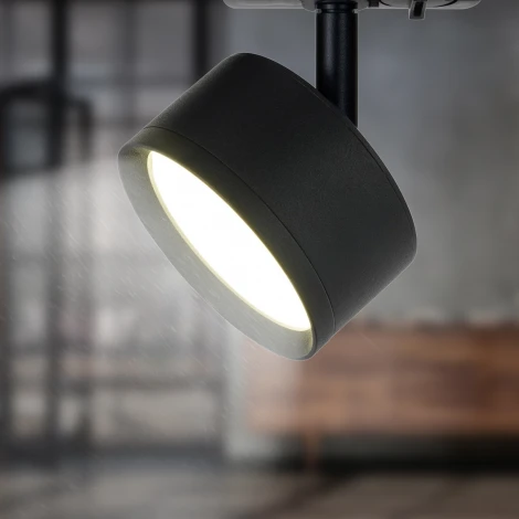 Трековый светильник ЭРА TR48 - GX53 BK (220V, круглые)