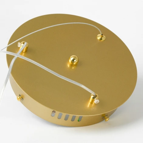 Подвесной светильник Lussole Bradford LSP-7161 (LED, 220V, на тросе, круглые)