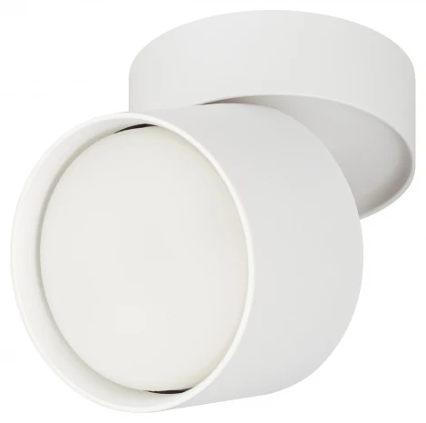 Спот ЭРА OL12 GX53 SWH OL12 GX53 SWH