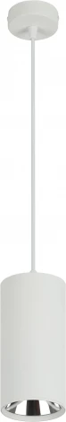 Подвесной светильник ЭРА PL12 GX53 WH/SL (220V, на проводе)