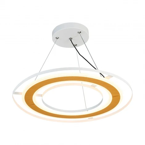 Подвесной светильник светодиодный с ПДУ F-Promo Rotas 4696-4P 3000-6000K