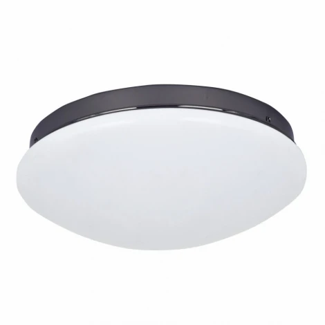 Потолочный светильник F-Promo Ledante 2468-2C