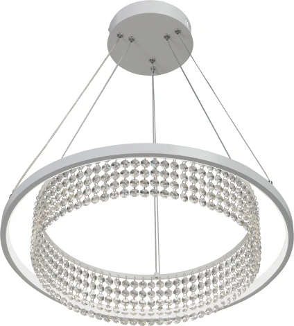 Подвесной светильник светодиодный LED 31Вт, 3900-4200К Vitaluce V54000-0/1S (220V, на тросе, круглые)