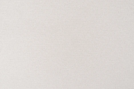 Обои виниловые Артекс Магия Фонов 10252-02 10,05 x 1,06 м