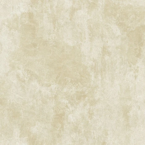 Обои бумажные Casa Mia Titanium RM40905 10 x 0,52 м