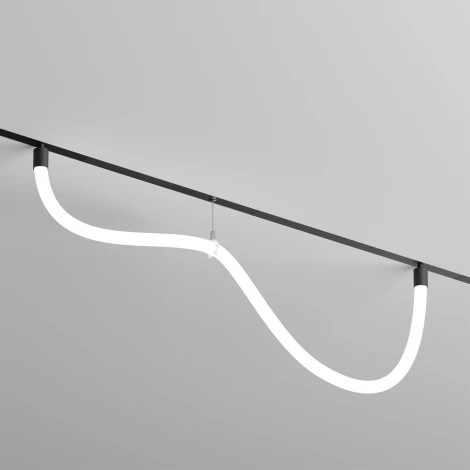 Трековый светильник с гибким неоном 220 Denkirs Smart Ray DK8060-BK (LED, пульт управления)