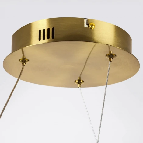 Подвесная люстра светодиодная Lightstar Corinto 637063 (220V, на тросе)