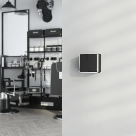 Выключатель двухклавишный влагозащищенный Gallant Werkel W5020234 (черный с серебром)