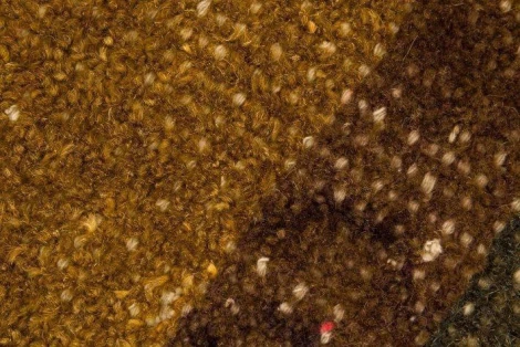 Пуф Bristol Cosmo