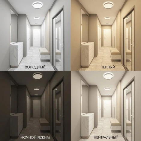 Потолочный светильник круглый Denkirs Plato DK6510-WH (регулировка яркости, LED, 220V, пульт управления, умный дом - Алиса, Smart Life, круглые)