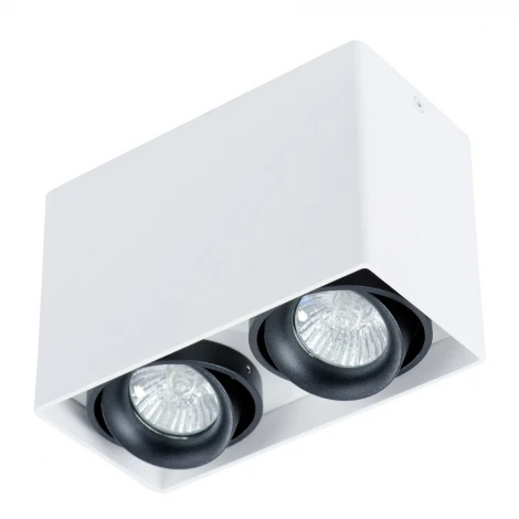 Накладной точечный светильник Arte Lamp Pictor A5655PL-2WH (220V)