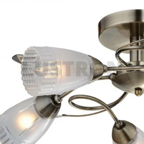 Потолочная люстра IDLamp Selveggiya 858/5PF-Oldbronze