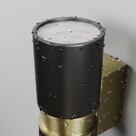 Настенный светильник уличный Maytoni Bowery O582WL-02B (220V, IP54)