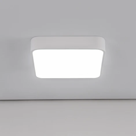 Потолочный светильник светодиодный Купер CL724K24V0 (220V, диммер)