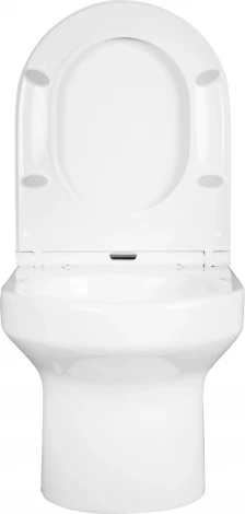 Унитаз подвесной Jacob Delafon Elite EDX114RU-00 безободковый