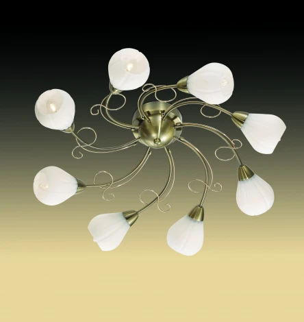 Потолочная люстра Odeon Light Dovera 2470/8C