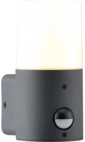 Настенный светильник уличный Escada 581/1A (220V, датчик движения, круглые)