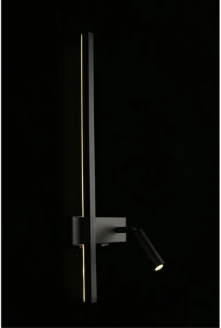 Настенный светильник с выключателем LED со спотом Aployt Reymand APL.342.01.13 (220V)