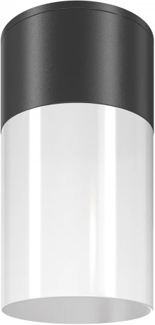 Уличный потолочный светильник Maytoni Willis O418CL-01B