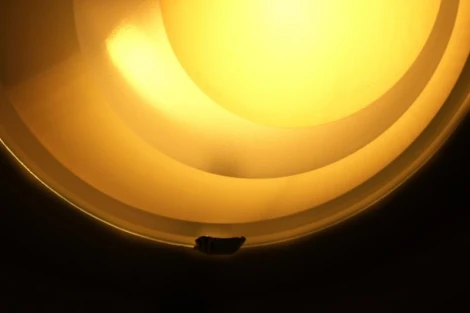 Настенный светильник Lampex Kolorado 674/K1