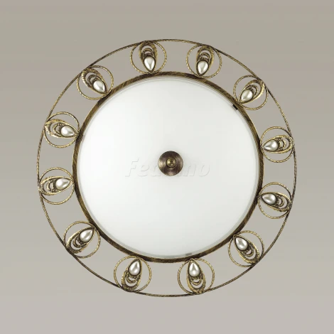 Настенно-потолочный светильник Odeon Light Kanti 3484/2C