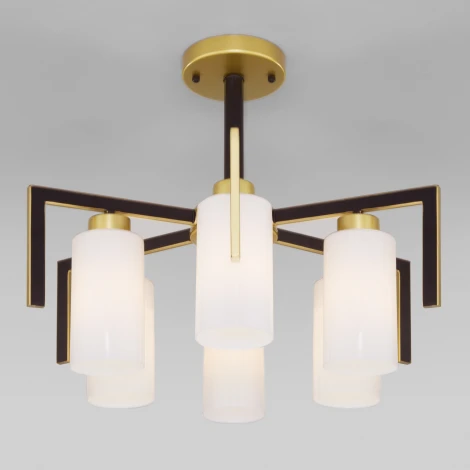 Потолочная люстра Eurosvet Palio 70126/6 черный