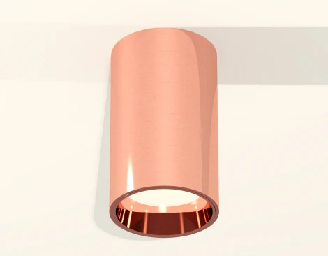 Накладной точечный светильник Ambrella Techno Spot XS6326001 (220V, круглые)