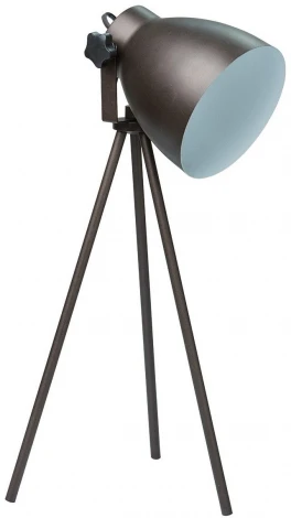 Интерьерная настольная лампа MW-Light Хоф 497032501