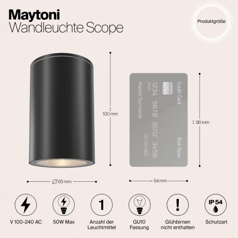 Уличный потолочный светильник Maytoni Roll O307CL-01B (220V, круглые, IP54)