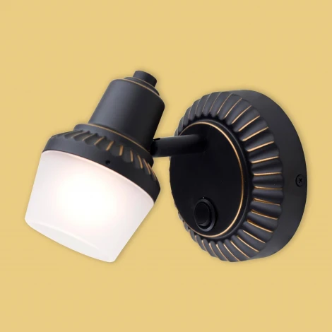 Спот Citilux Антиб CL562511