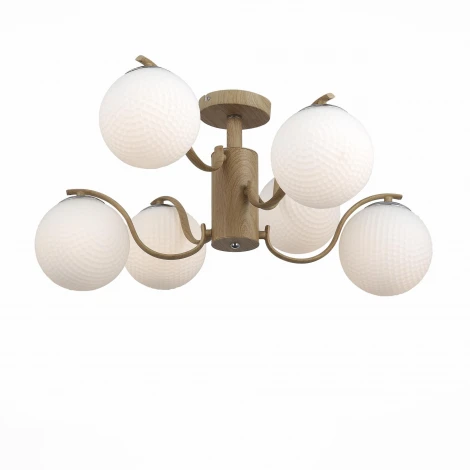 Потолочная люстра ST Luce Legno SL718.702.06