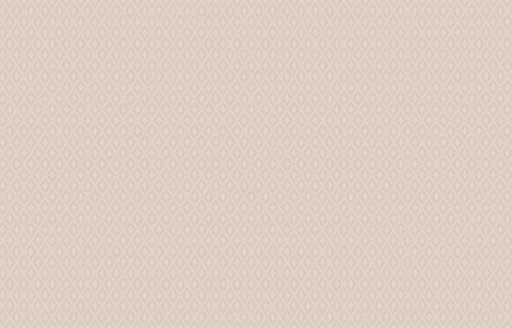 Рулонные обои Loymina Hygge Hg2 001/1 10,05 x 1 м