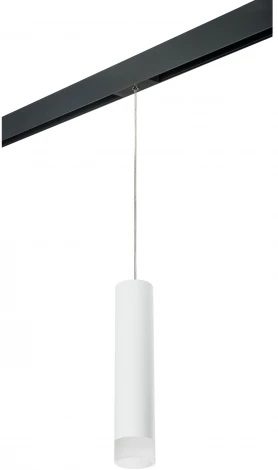 Трековый светильник однофазный 220V Lightstar Rullo PRORP49631 (круглые)