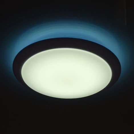Потолочный светильник MW-Light Ривз 674014201