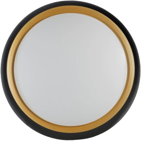 Потолочный светильник Lumina Deco Paneli LDC 8062-48W BK