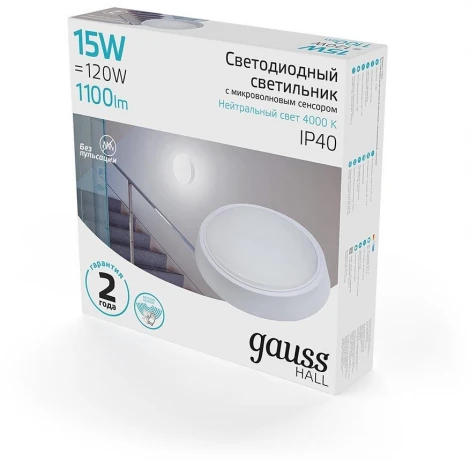 Настенно-потолочный светильник Gauss Hall 193411215-S