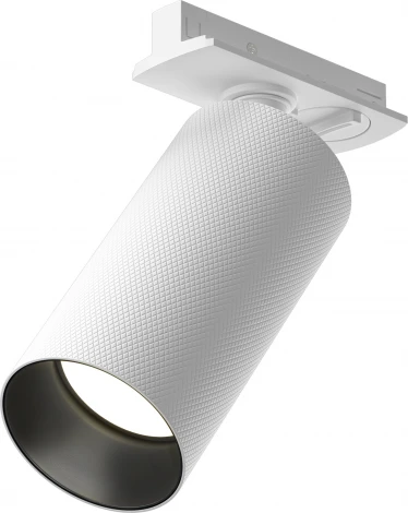 Трековый светильник однофазный 220V Maytoni Artisan TR089-1-GU10-WW (круглые)