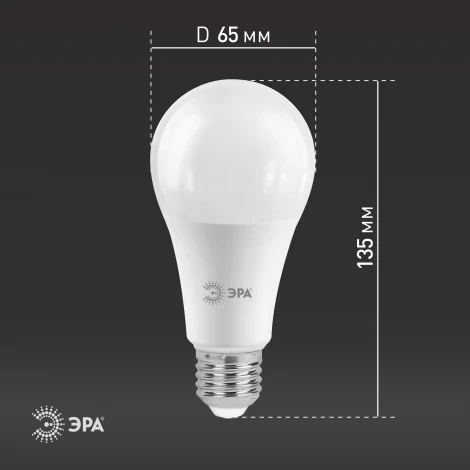 Лампочка светодиодная E27 25W ЭРА LED A65-25W-840-E27