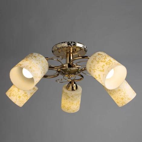 Потолочная люстра Arte Lamp Selection A8164PL-5GO