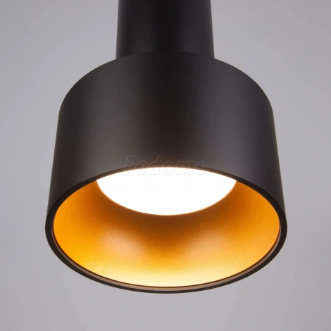 Подвесной светильник Eurosvet Charlie 50134/1 LED черный/золото