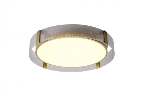 Потолочный светильник круглый Zortes Gerda ZRS.1097.60 (LED, 220V, круглые)