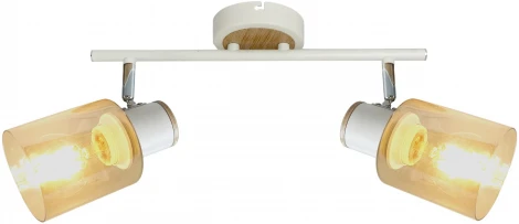 Спот на штанге Rivoli Jamilly 7057-702 (220V)