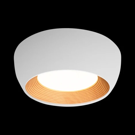 Потолочный светильник круглый Loft It Folk 10255/350 White (LED, 220V, круглые)