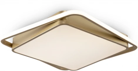 Потолочный светильник Freya Yaku FR10026CL-L93G