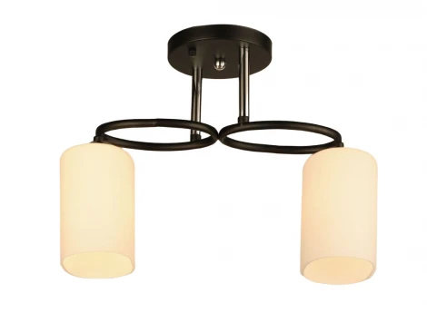 Потолочная люстра на штанге Мелодия Света SS1N 000029918