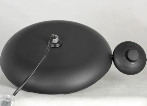 Торшер LSP-0629 (220V, выключатель, IP21)