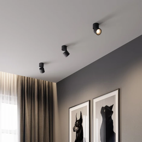 Светильник потолочный светодиодный Elektrostandard Rolly 25112/LED черный (220V, круглые)